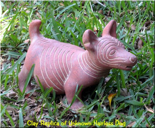 009 Clay Hairless Dog Replica.jpg