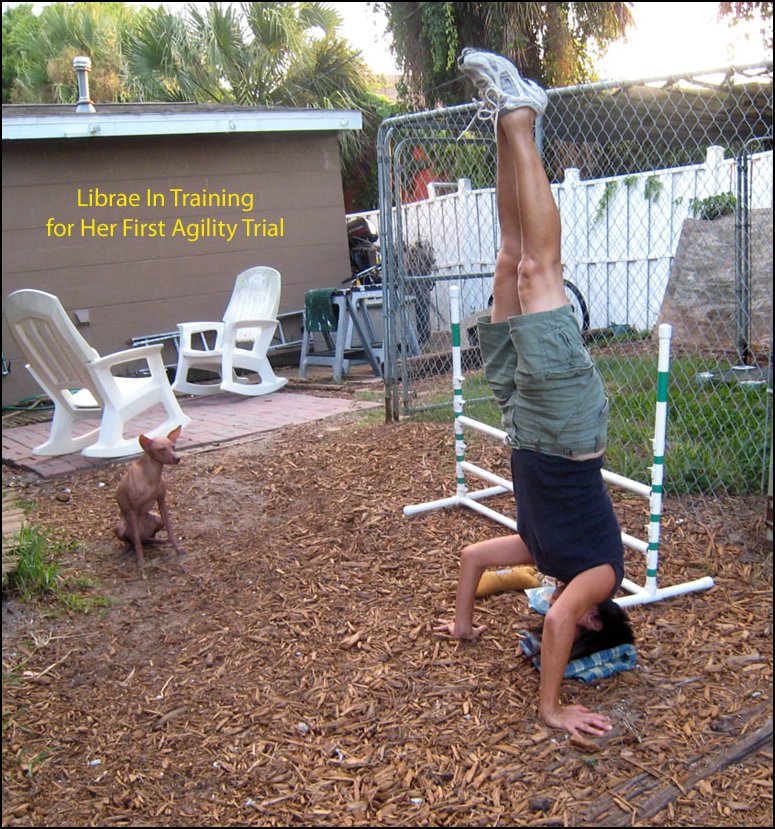 000 Librae Headstand2 (10-12-10).jpg